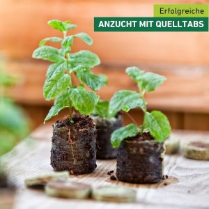 Anzucht-Quelltabs - Ø 3,5 cm