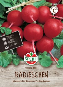 Radieschen - Cherry Belle