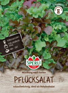 Pflücksalat - Mischung aus 3 Sorten