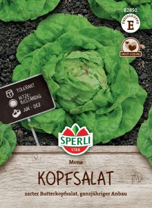 Kopfsalat - Mona